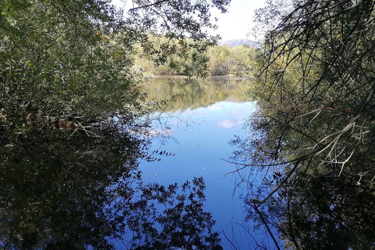 La Cabana De Gaia San Lorenzo de El Escorial Bagian luar foto